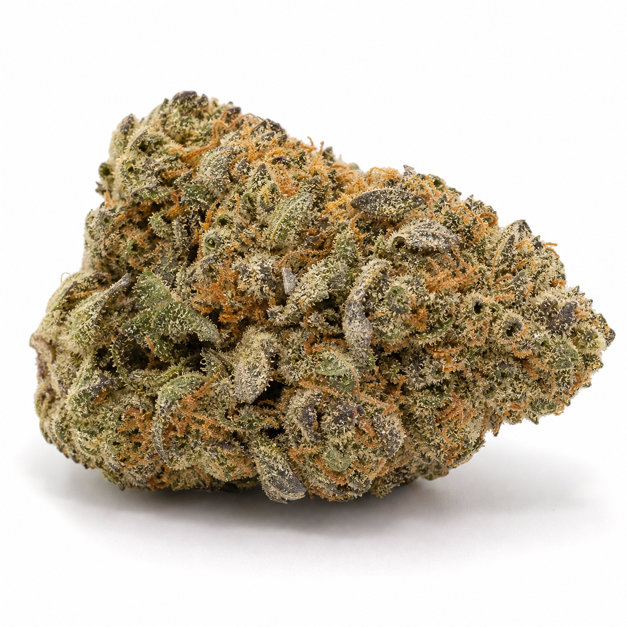 Cogollo de Critical Kush Auto de Spain Seeds en primer plano, con hojas verdes y oscuras, filamentos anaranjados y superficie resinosa.