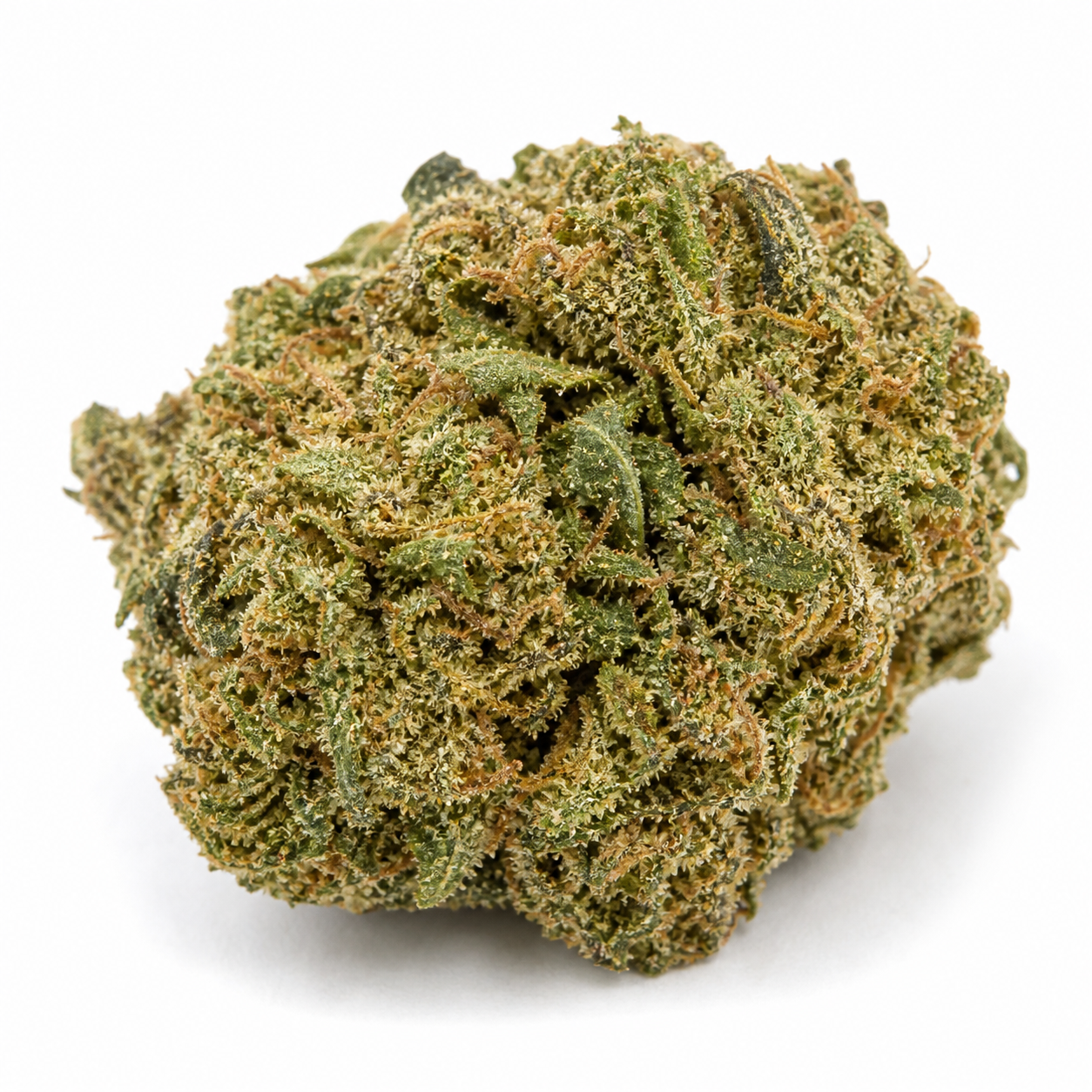 Cogollo de Critical Mass Mr Nice de forma redondeada, con hojas verdes, filamentos anaranjados y abundantes tricomas sobre fondo blanco.