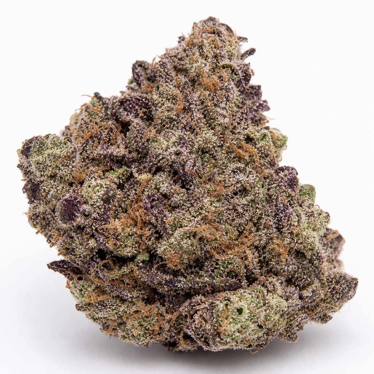 Cogollo de Critical Soma Feminizada en primer plano, con tonos verdes y morados, filamentos anaranjados y superficie blanquecina.