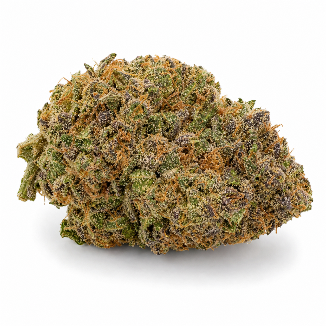 Cogollo de Critical#47 de Positronics Seeds, ancho y compacto, con zonas verdes y moradas, pistilos naranjas y tricomas sobre fondo blanco.