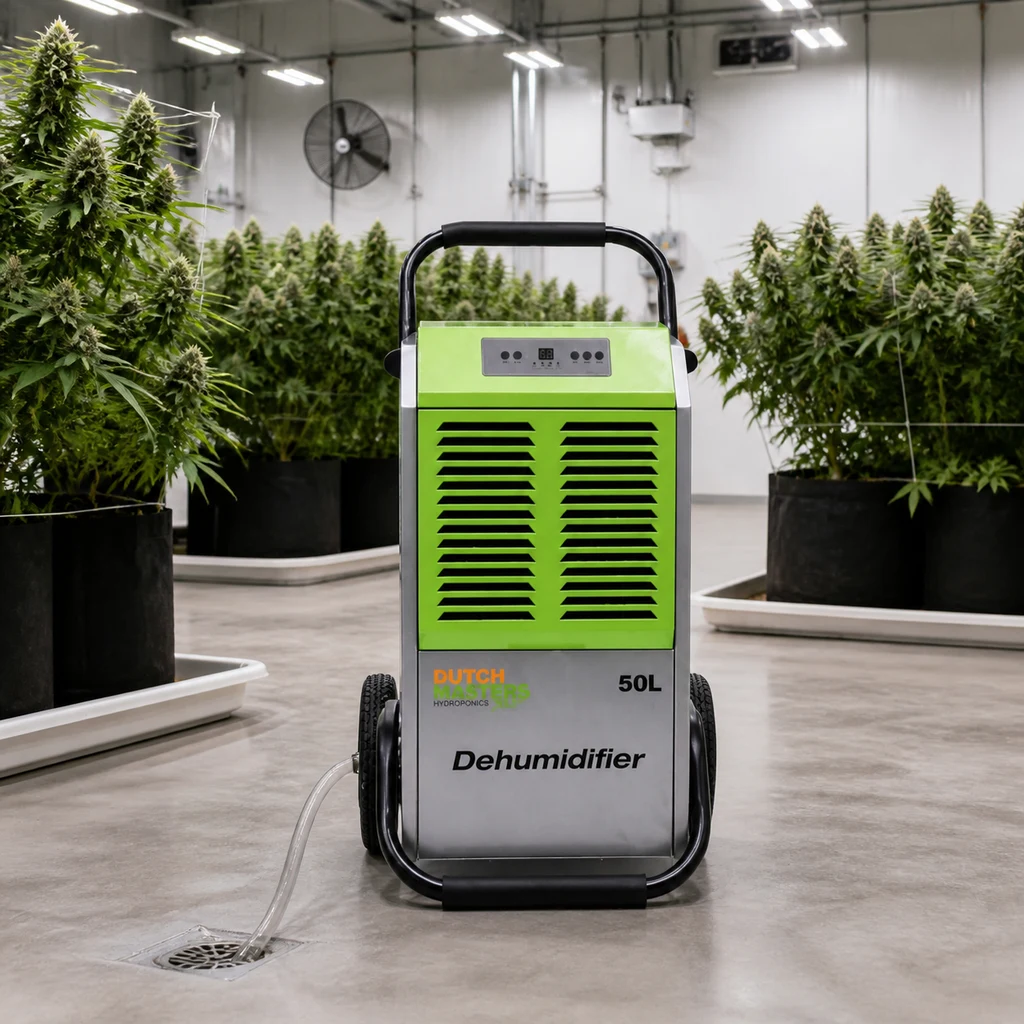 Deshumidificador verde y gris con ruedas y asa entre plantas de un cultivo interior, con una manguera dirigida al desagüe del suelo.