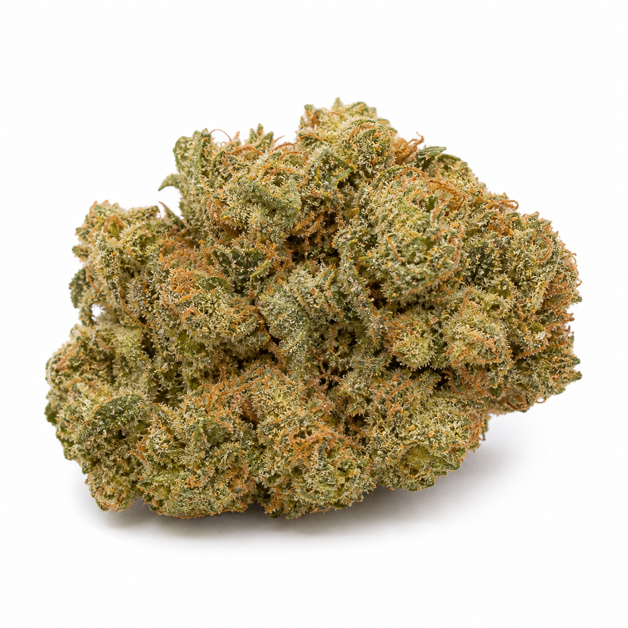 Cogollo de Delhi Cheese Auto de Vision Seeds en primer plano, con tonos verdes, abundantes filamentos anaranjados y superficie resinosa sobre fondo blanco.