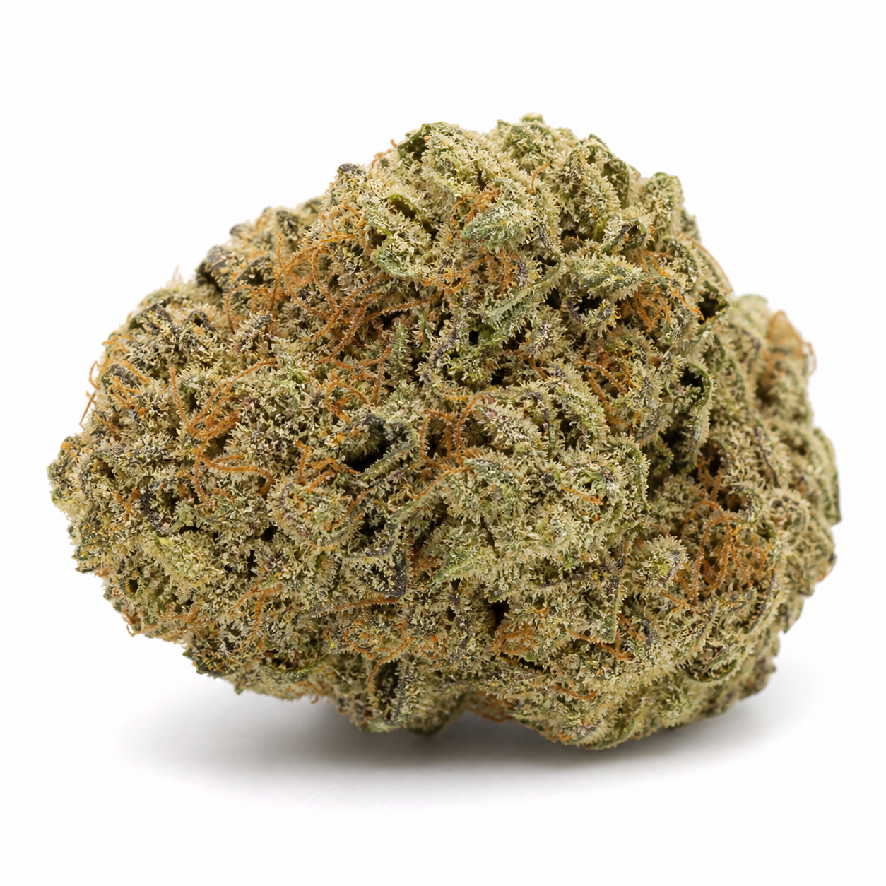 Cogollo de Devil Fruit de Medical Seeds en primer plano, con tonos verdes, filamentos anaranjados y abundantes tricomas sobre fondo blanco.