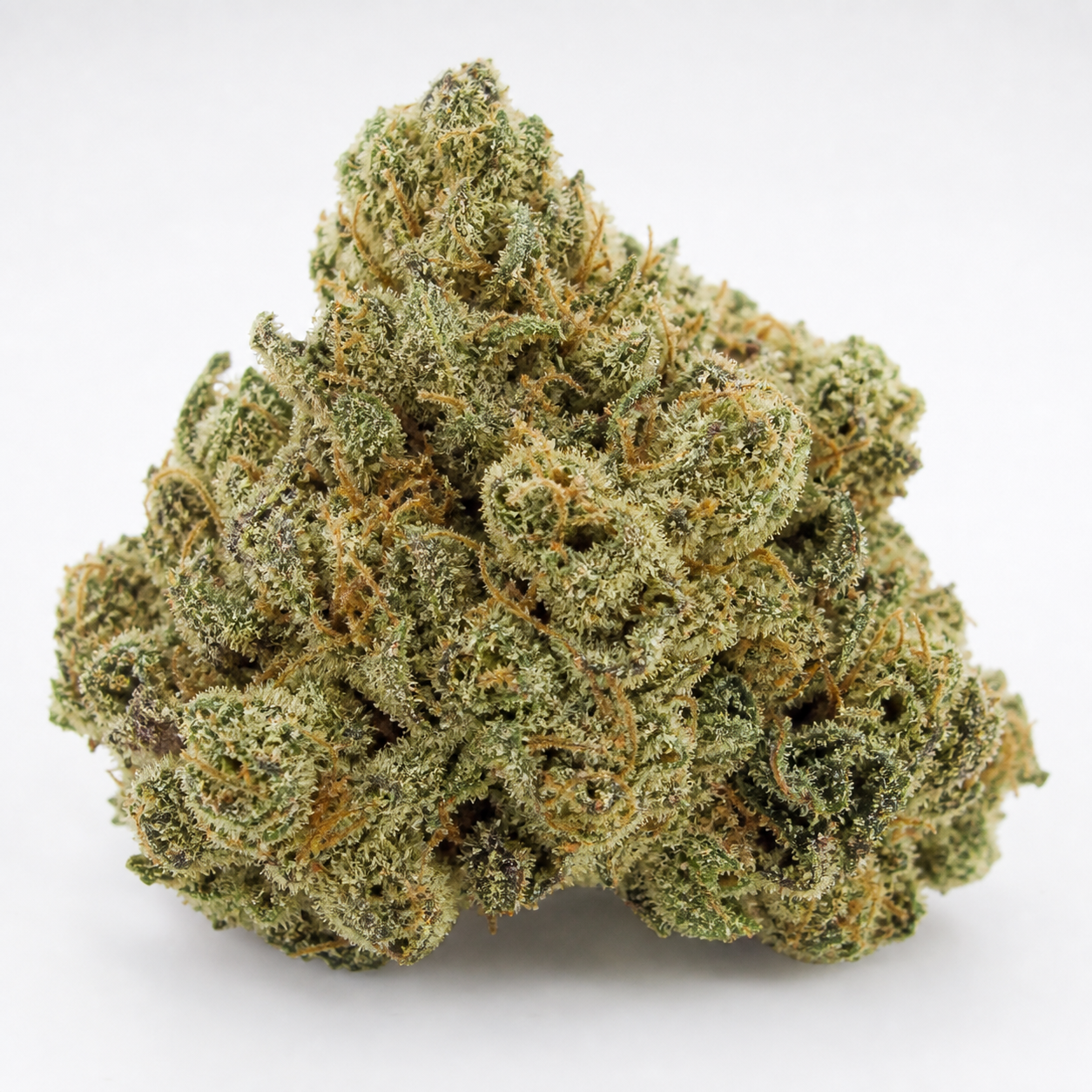 Cogollo de Diablo’s Delight XL Auto® de Sweet Seeds en primer plano, con tonos verdes, filamentos anaranjados y superficie cubierta de tricomas.