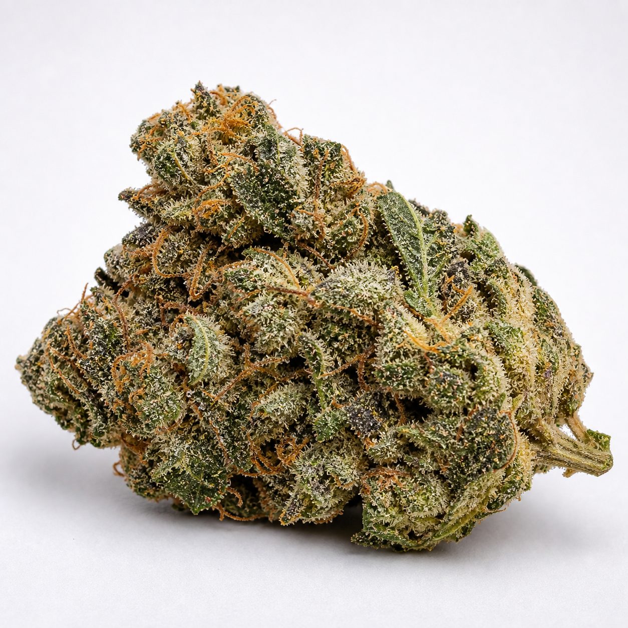 Cogollo de Diesel Auto de Royal Queen Seeds en primer plano, con hojas verdes, pistilos anaranjados y abundantes tricomas claros.