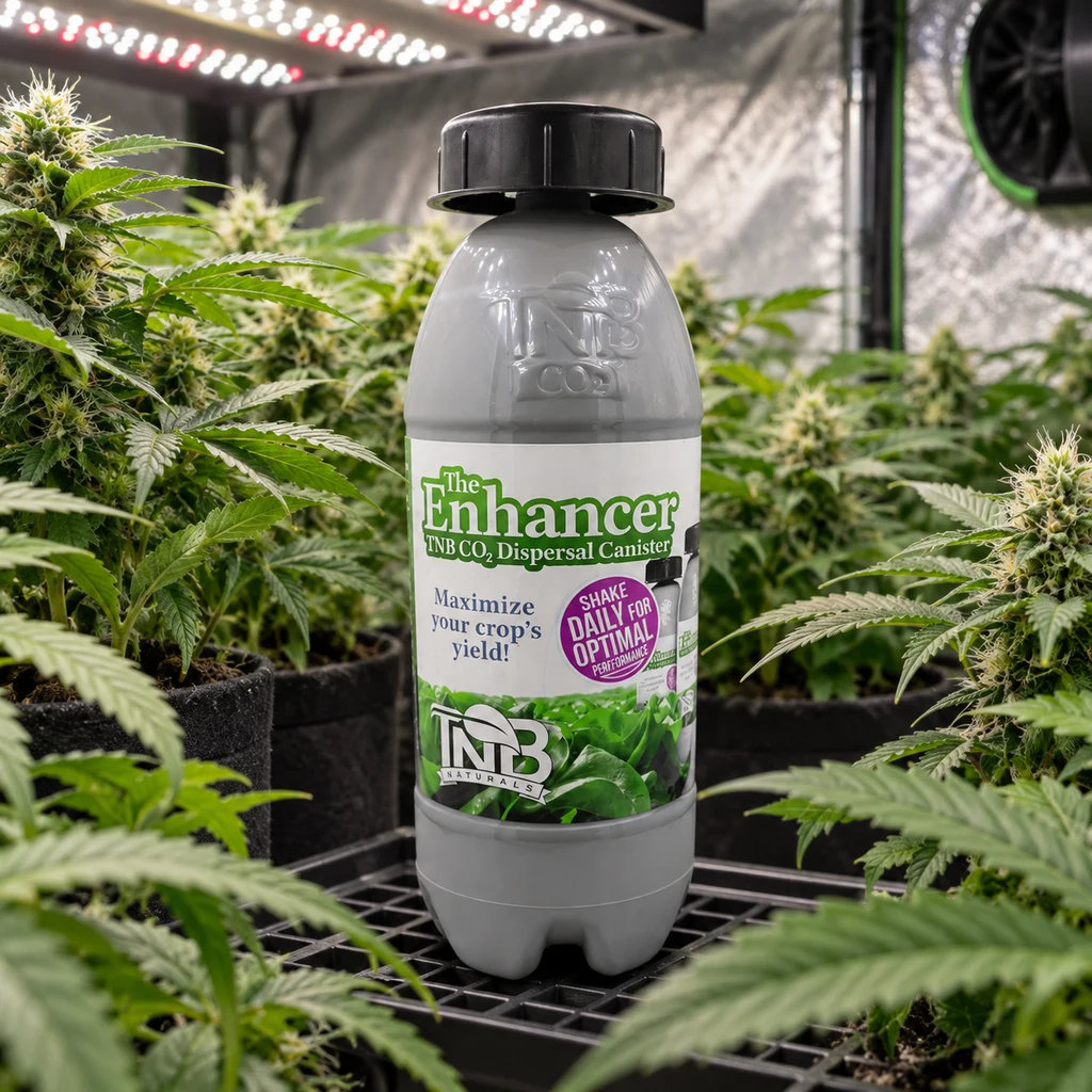 Escena generada del dispensador de CO2 The Enhancer entre plantas de cannabis, con tapón negro y luces de cultivo en la parte superior.