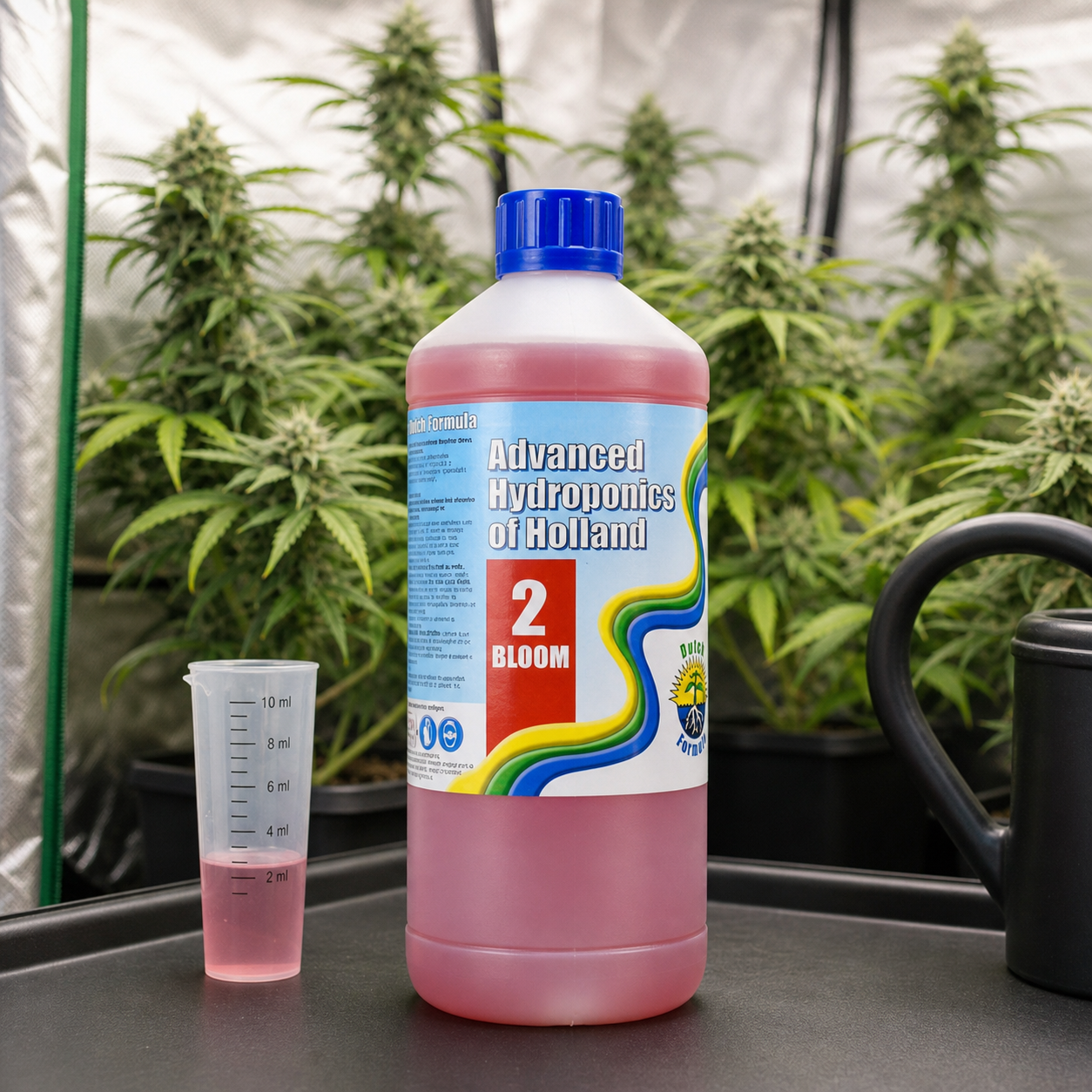 Botella de Dutch Formula Bloom 2 con líquido rosado y tapón azul, junto a una probeta y una regadera, con plantas de cannabis al fondo.