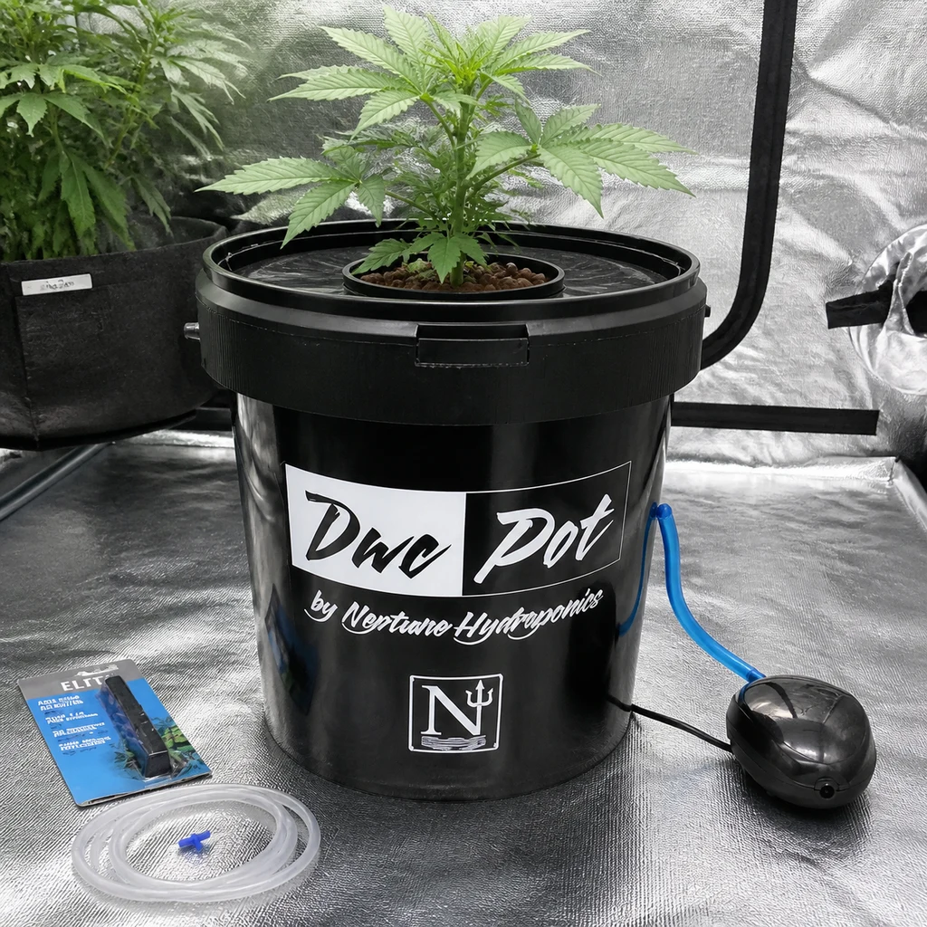 Escena generada del DWC Pot de Neptune Hydroponics con una planta en la tapa, tubo azul y bomba de aire en un recinto reflectante.