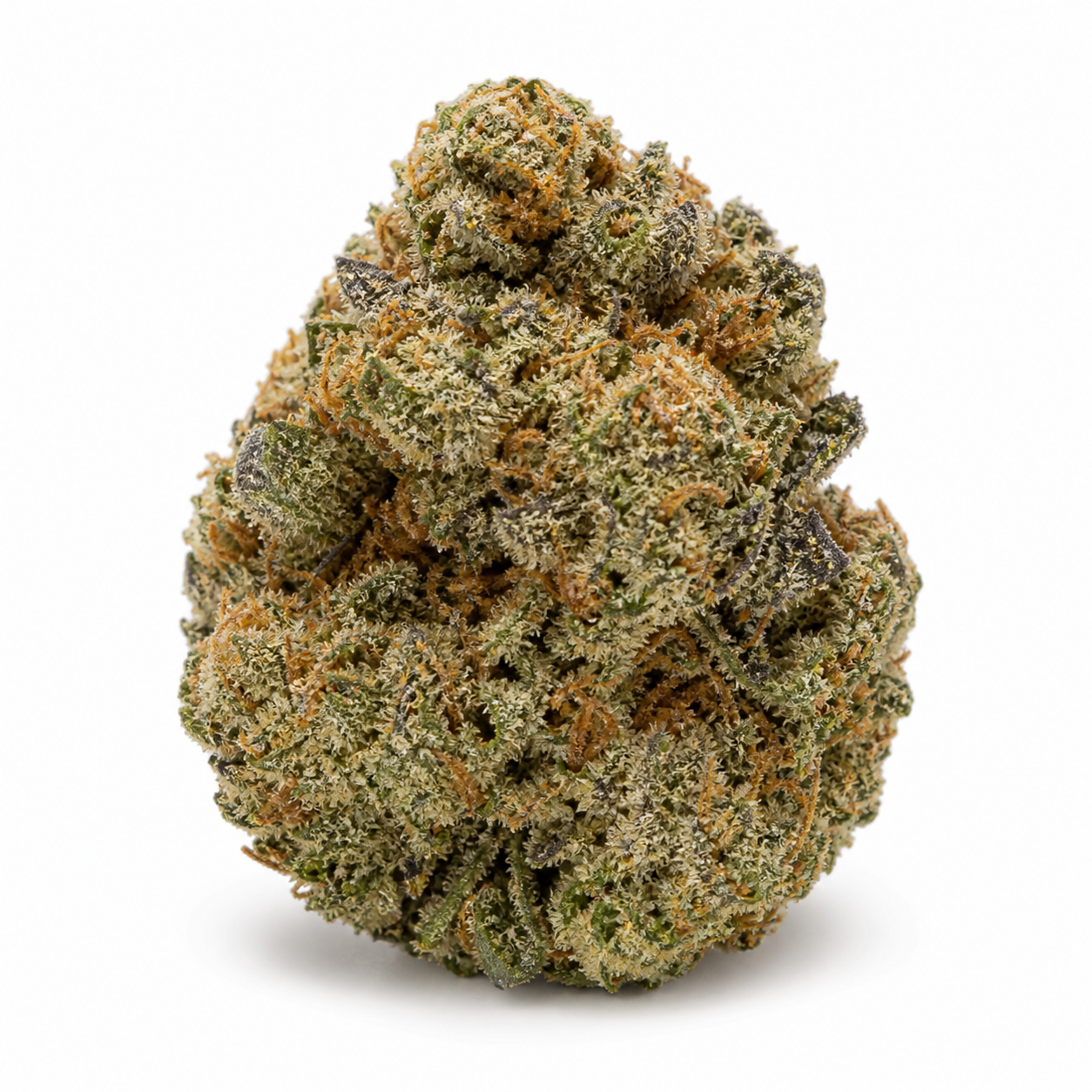 Cogollo de Dynamite Diesel en primer plano sobre fondo blanco, con tonos verdes, hojas oscuras, filamentos anaranjados y tricomas claros.