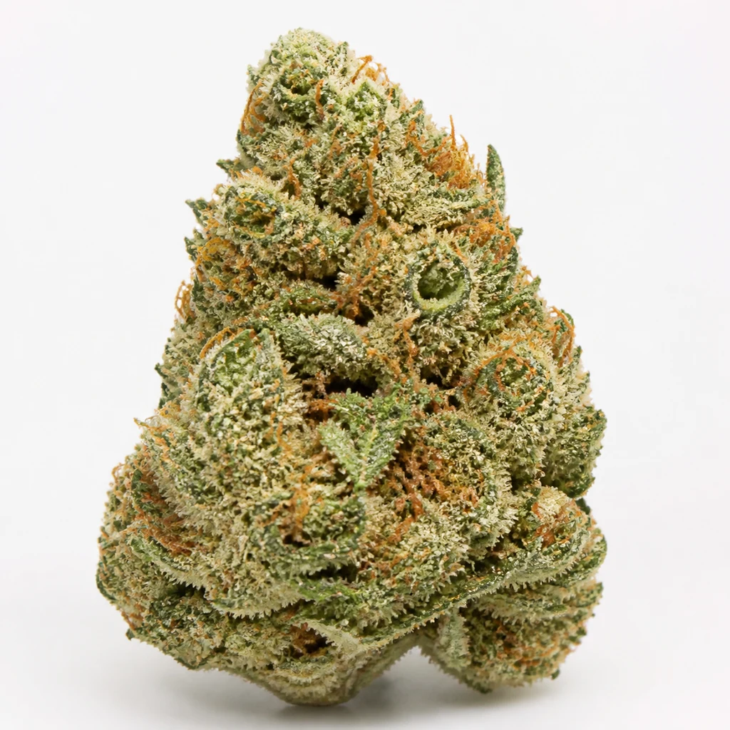 Ilustración de un cogollo cónico verde con pistilos naranjas y superficie escarchada para la ficha de Assorted Auto de Buddha Seeds.