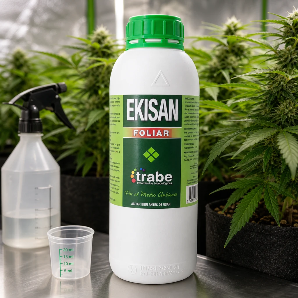 Botella blanca de Ekisan Foliar de Trabe con tapón verde, junto a un pulverizador y un vaso graduado, ante plantas de cannabis. Botella blanca de Ekisan Foliar de Trabe con tapón verde, junto a un pulverizador y un vaso graduado, ante plantas de cannabis.