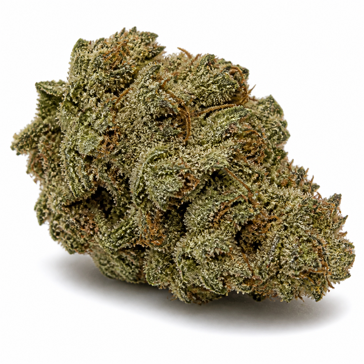 Cogollo de Expert Haze Feminizada de Expert Seeds, compacto y verde, con filamentos anaranjados y superficie cristalina sobre fondo blanco.