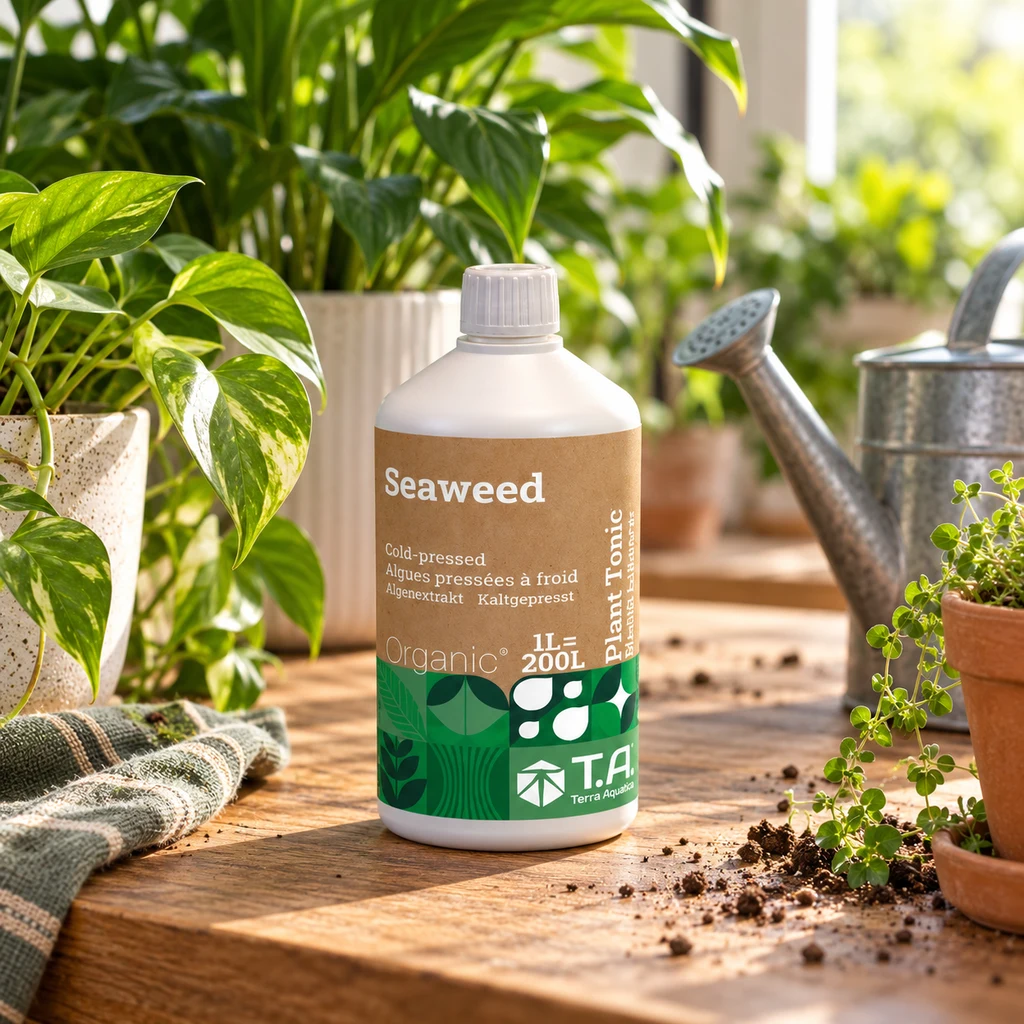 Escena generada de una botella Seaweed de Terra Aquatica sobre una mesa de madera, rodeada de plantas en macetas y una regadera. Escena generada de una botella Seaweed de Terra Aquatica sobre una mesa de madera, rodeada de plantas en macetas y una regadera.