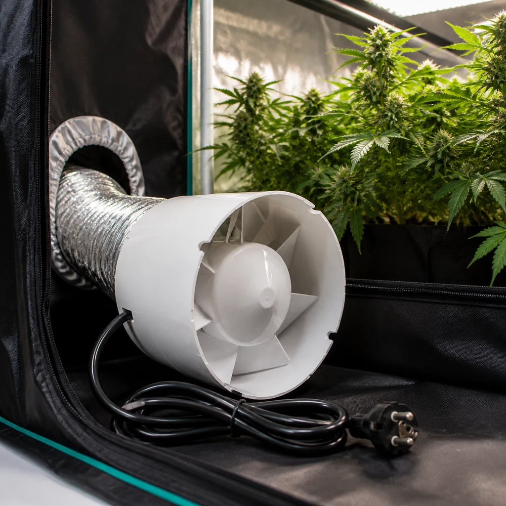 Extractor blanco conectado a un conducto plateado en un armario de cultivo, con cable y enchufe delante y plantas al fondo.