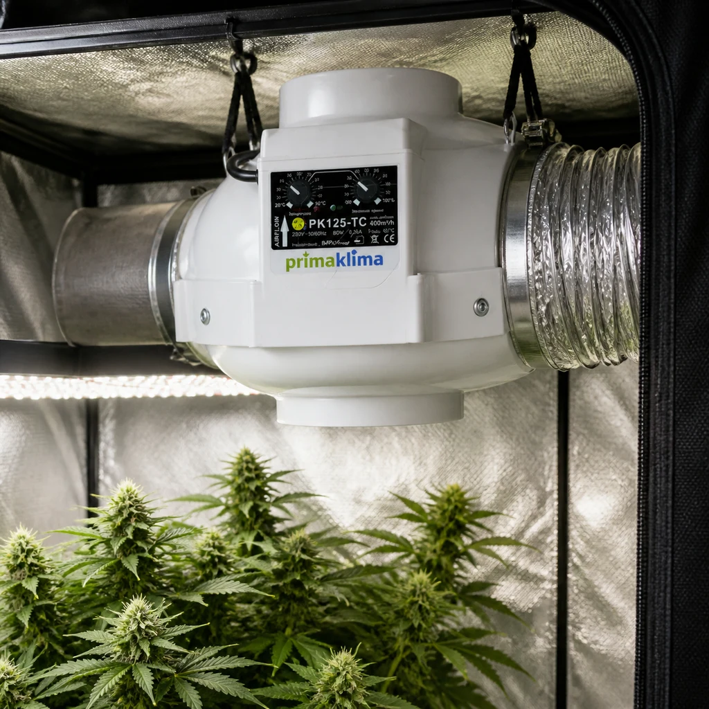 Escena generada del extractor Prima Klima blanco, suspendido entre conductos, con mandos frontales sobre plantas en un armario de cultivo.