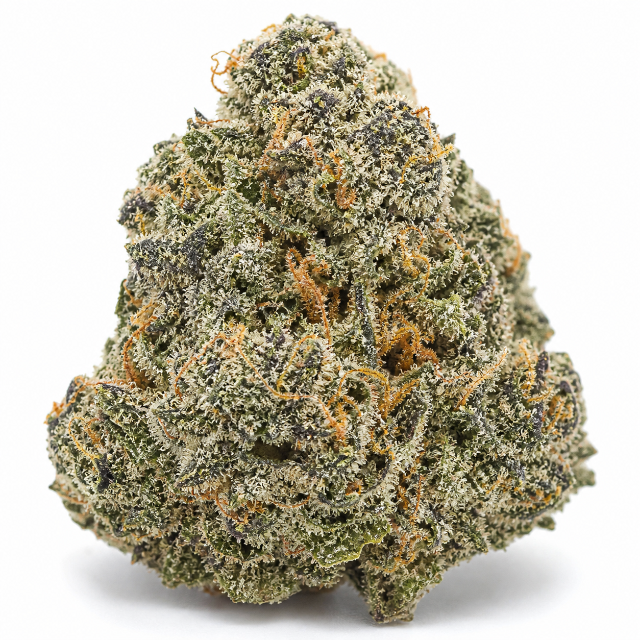 Cogollo de Fallout OG Feminizada en primer plano, de forma cónica, con tonos verdes y morados, pistilos anaranjados y tricomas blanquecinos.