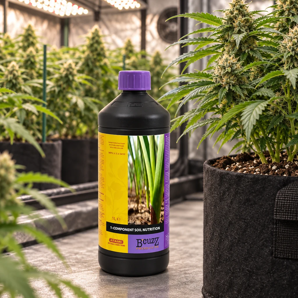 Botella de nutrición Bcuzz para suelo con tapón morado y etiqueta amarilla y violeta, entre plantas en un cultivo interior.