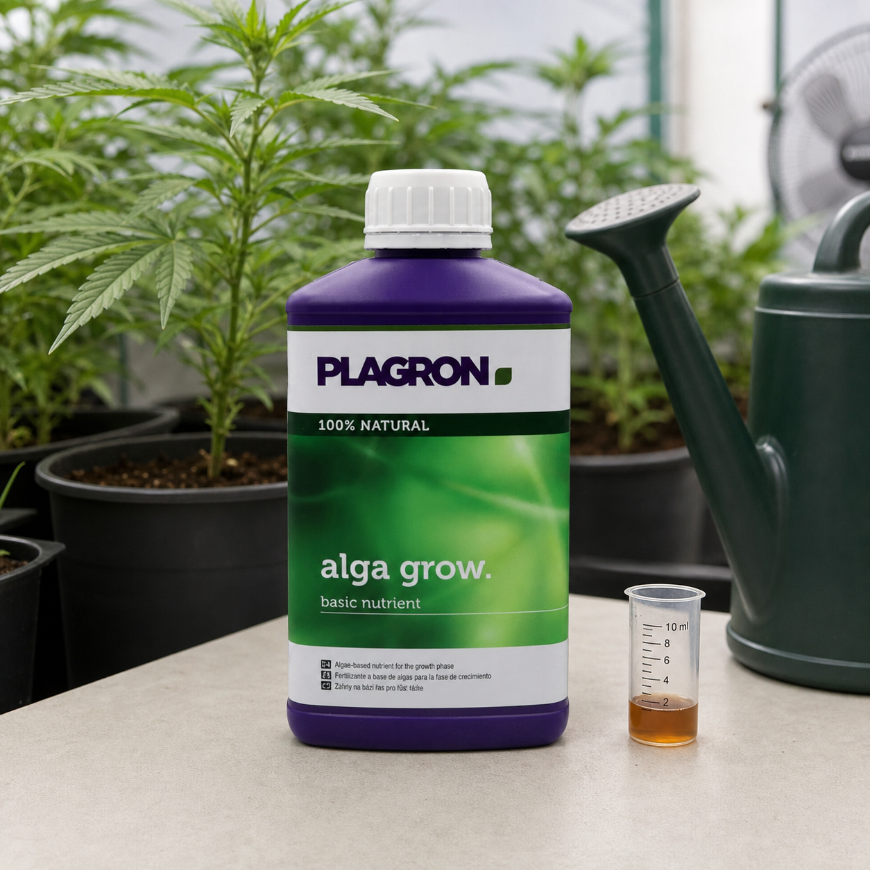 Botella morada de Plagron Alga Grow junto a un vaso graduado con líquido ámbar y una regadera, con plantas de cannabis al fondo.