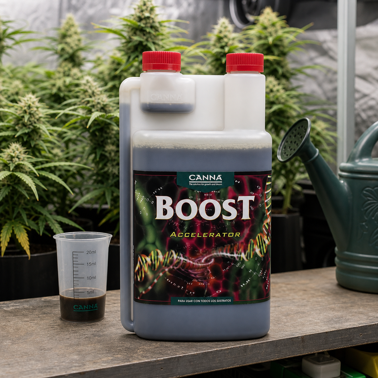 Envase de Canna Boost Accelerator con tapones rojos y dosificador integrado, junto a un vaso medidor y plantas de cannabis al fondo. Envase de Canna Boost Accelerator con tapones rojos y dosificador integrado, junto a un vaso medidor y plantas de cannabis al fondo.