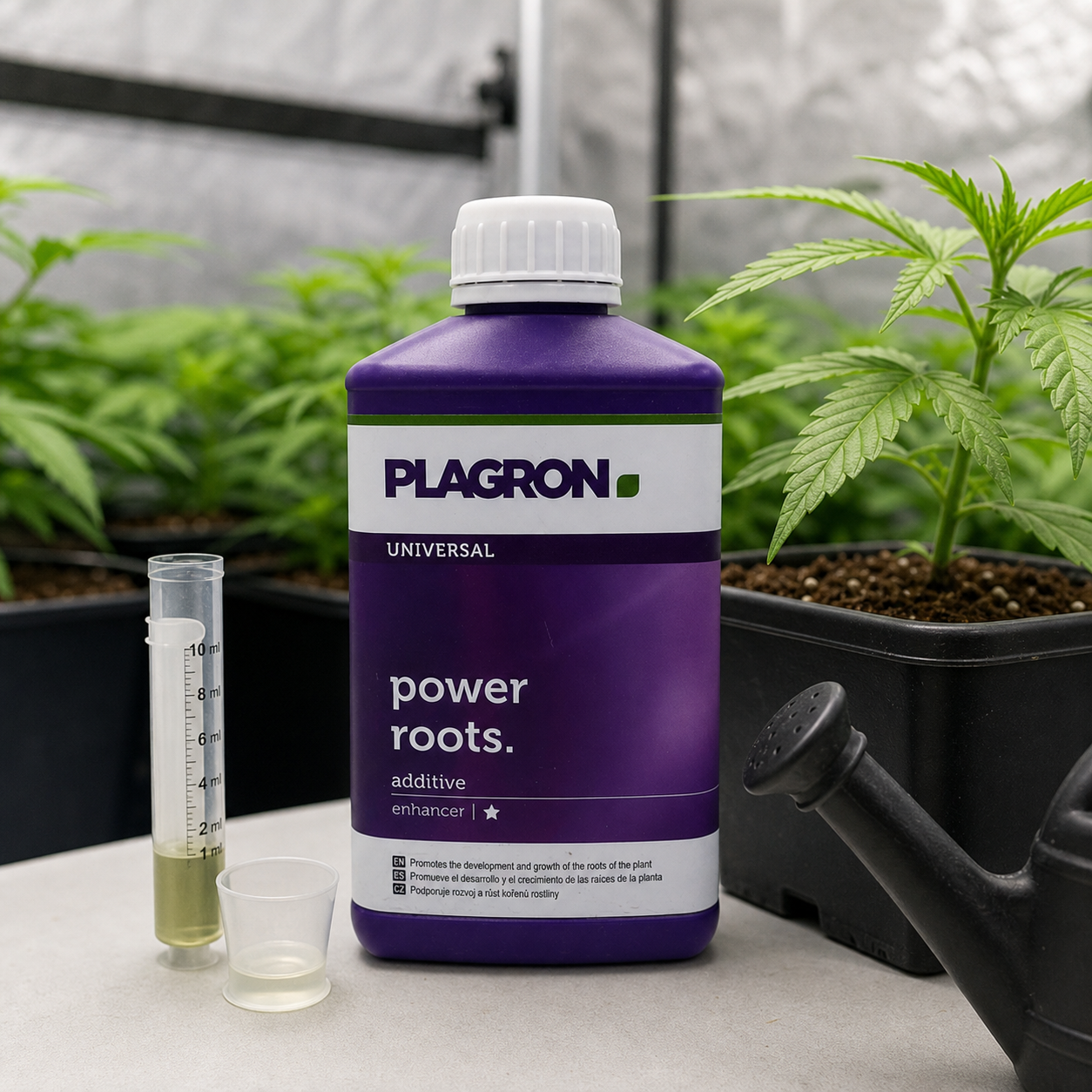 Botella morada de Plagron Power Roots junto a una probeta con líquido, un vaso medidor y una regadera, con plantas al fondo. Botella morada de Plagron Power Roots junto a una probeta con líquido, un vaso medidor y una regadera, con plantas al fondo.