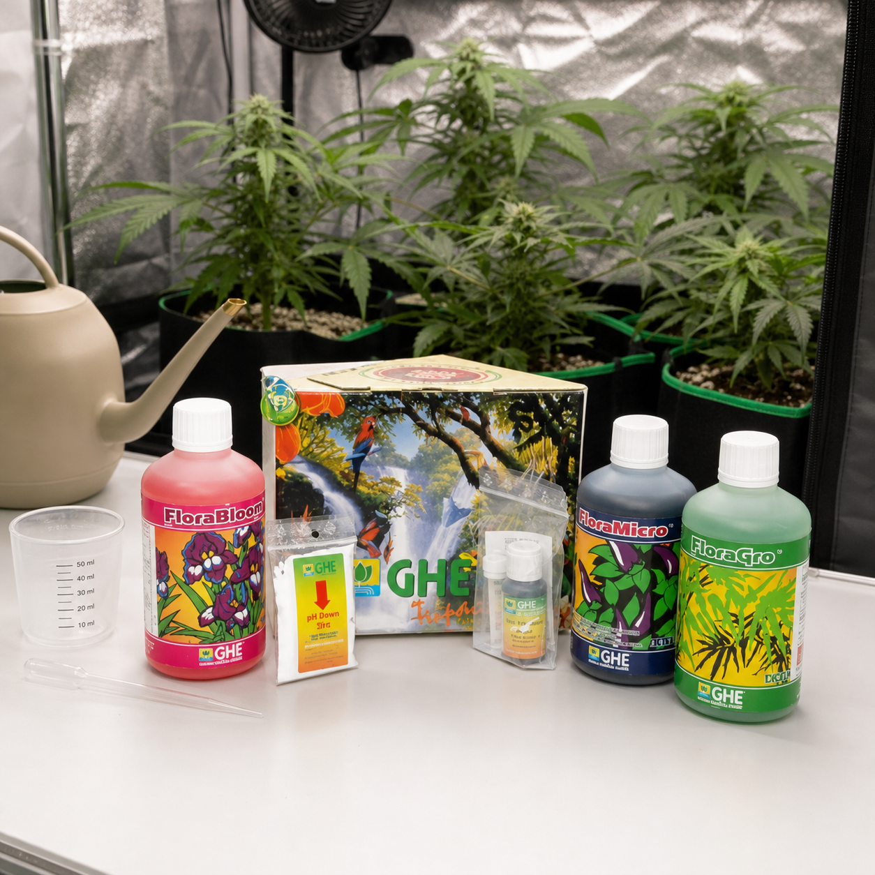 Tripack Flora GHE con botellas FloraBloom, FloraMicro y FloraGro, caja y accesorios sobre una mesa frente a plantas de cannabis.