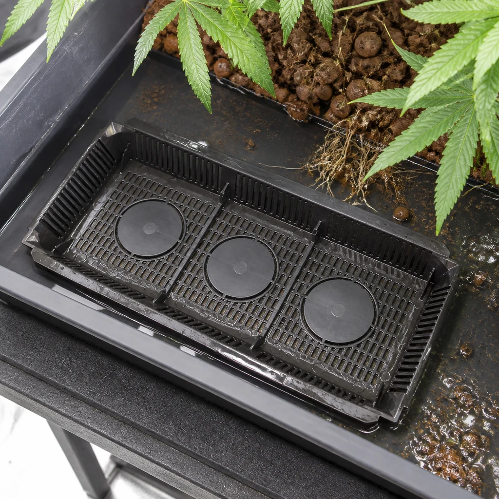 Escena generada de un filtro rectangular negro con rejilla y discos circulares en una bandeja de cultivo, junto a raíces y hojas. Escena generada de un filtro rectangular negro con rejilla y discos circulares en una bandeja de cultivo, junto a raíces y hojas.