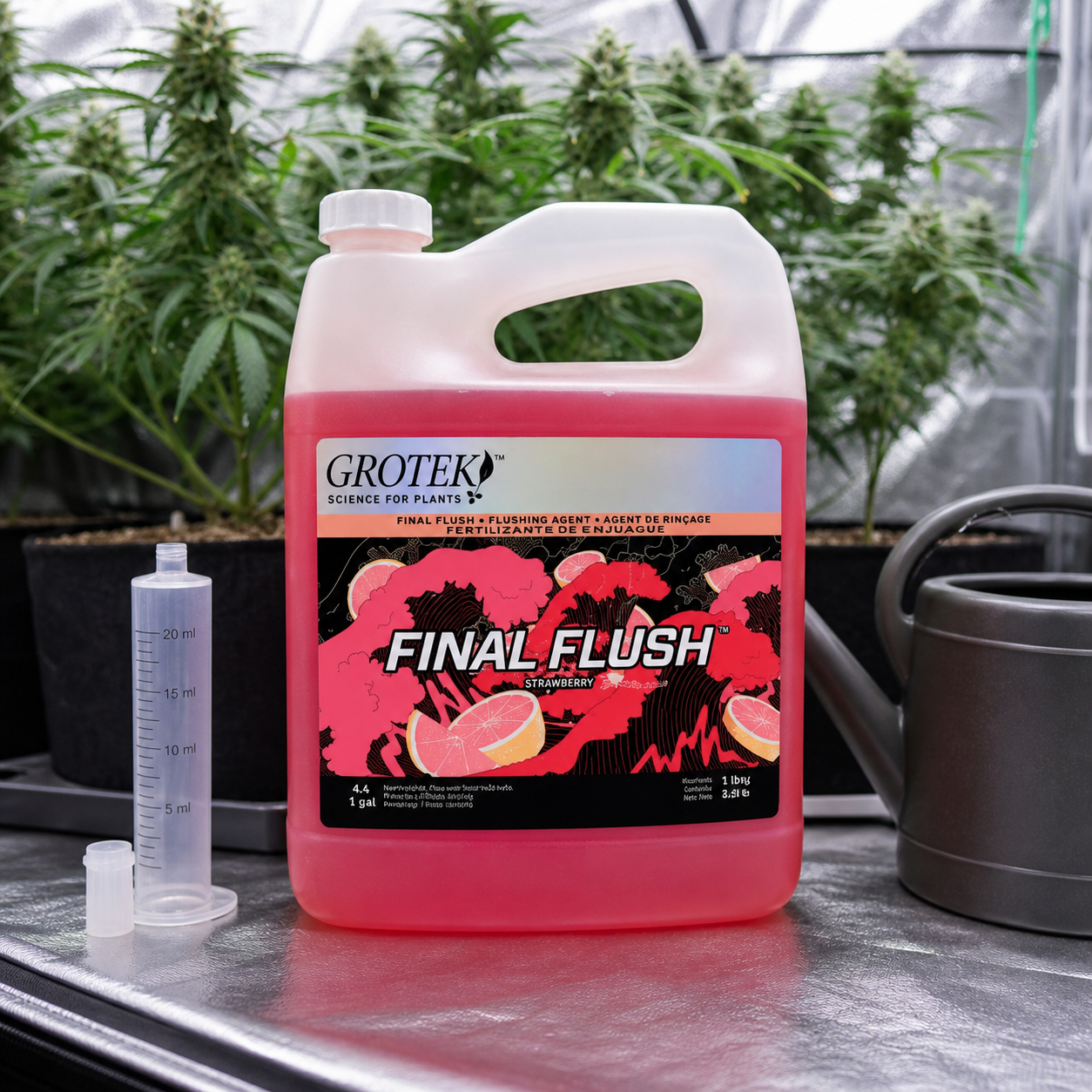 Garrafa de Final Flush Grotek con líquido rosa y etiqueta Strawberry, junto a una probeta y una regadera, con plantas al fondo. Garrafa de Final Flush Grotek con líquido rosa y etiqueta Strawberry, junto a una probeta y una regadera, con plantas al fondo.