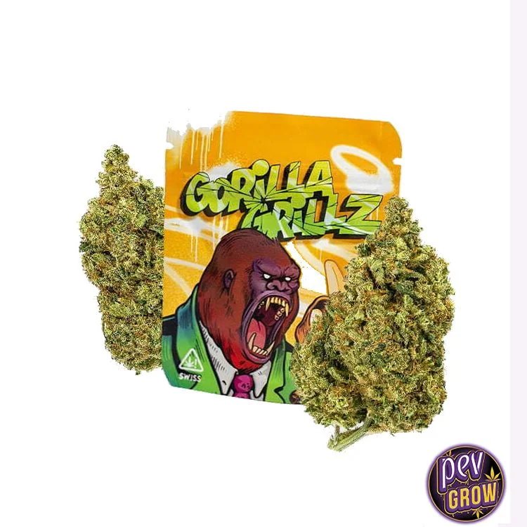 Cogollos de Gorilla Grillz junto a un envase amarillo con letras verdes y la ilustración de un gorila con la boca abierta.