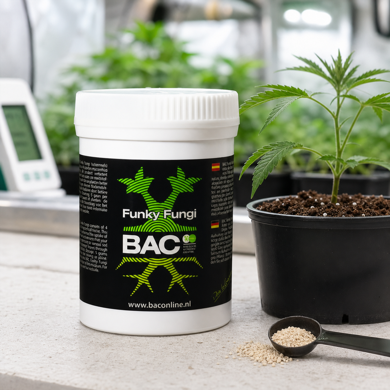 Bote de Funky Fungi B.A.C junto a una planta en maceta y una cuchara con gránulos claros sobre una mesa de cultivo. Bote de Funky Fungi B.A.C junto a una planta en maceta y una cuchara con gránulos claros sobre una mesa de cultivo.