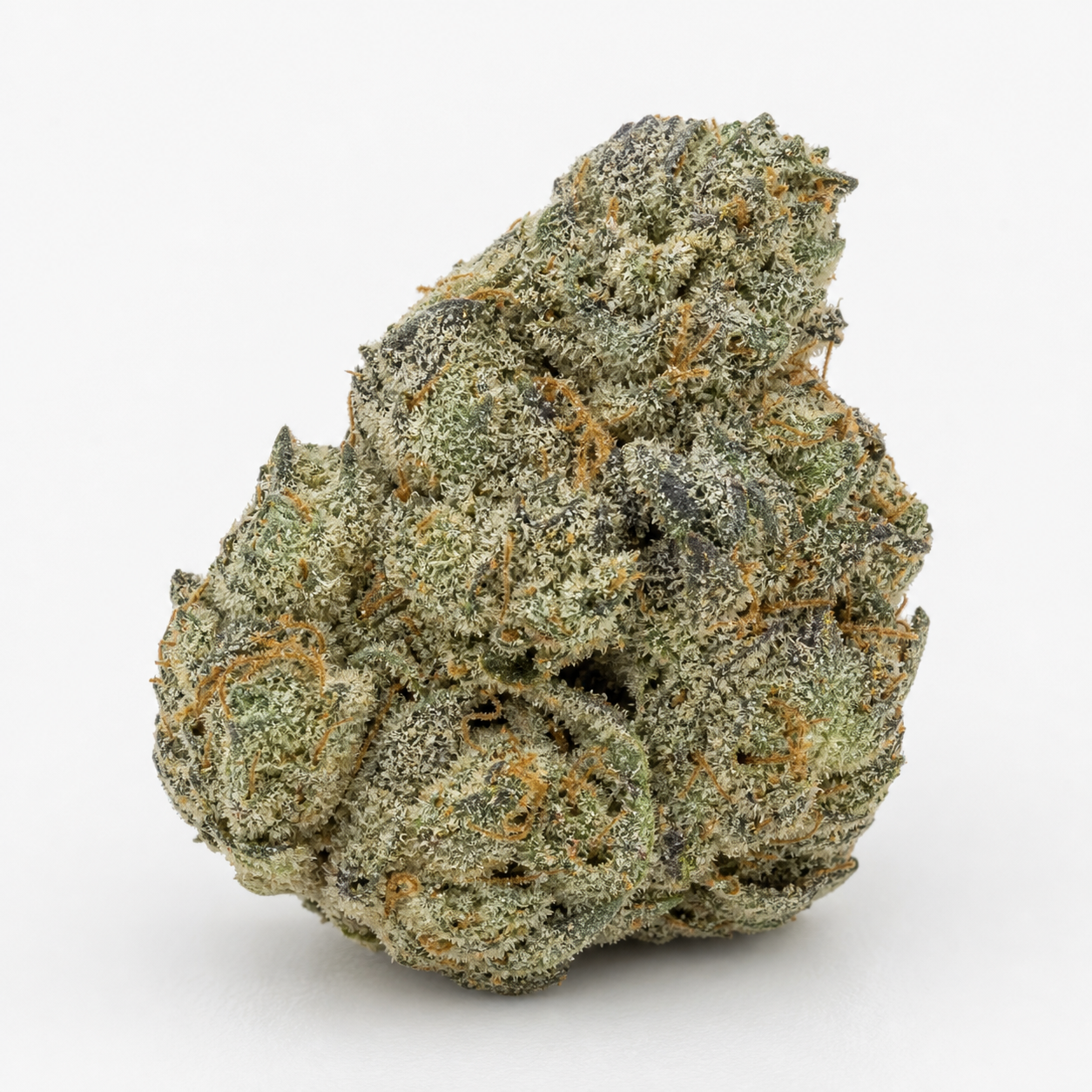 Cogollo de GG4 Sherbet FF de Fast Buds, de forma alargada, con zonas verdes y oscuras, filamentos naranjas y superficie blanquecina.