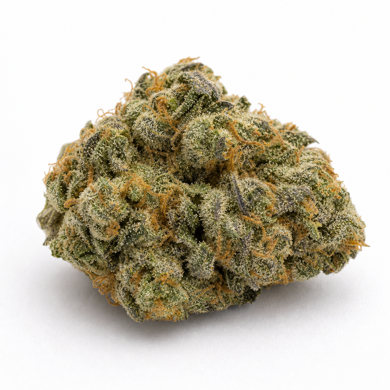 Cogollo de Glowberry Rush Auto de Anesia Seeds sobre fondo blanco, con forma compacta, hojas verdes y oscuras y filamentos anaranjados.