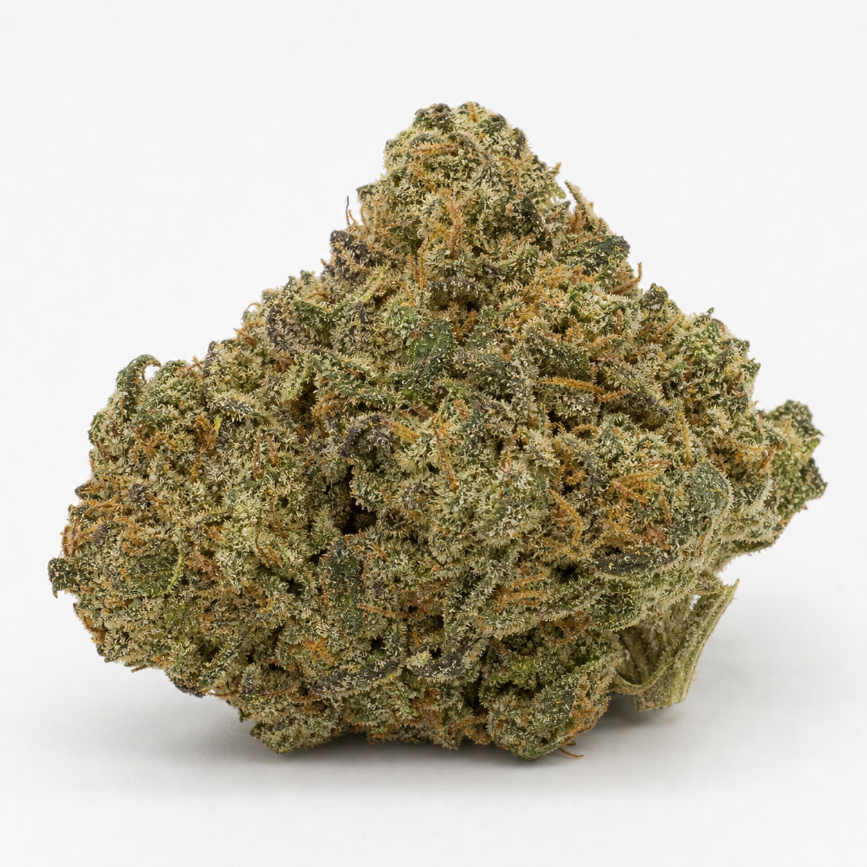 Cogollo de GMO Fast Feminizada de Dutch Passion sobre fondo blanco, con tonos verdes, filamentos anaranjados y abundantes tricomas.