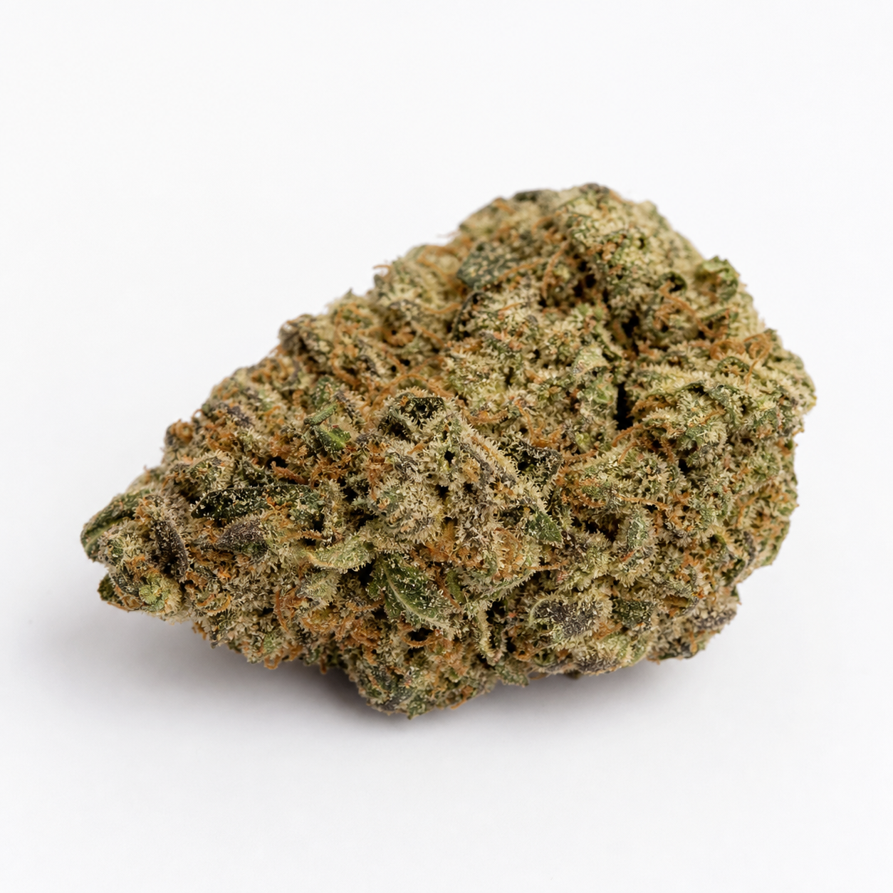 Cogollo de Gordo Master Kush de Positronics Seeds, compacto y verde, con pistilos anaranjados y abundante recubrimiento blanquecino sobre fondo blanco.