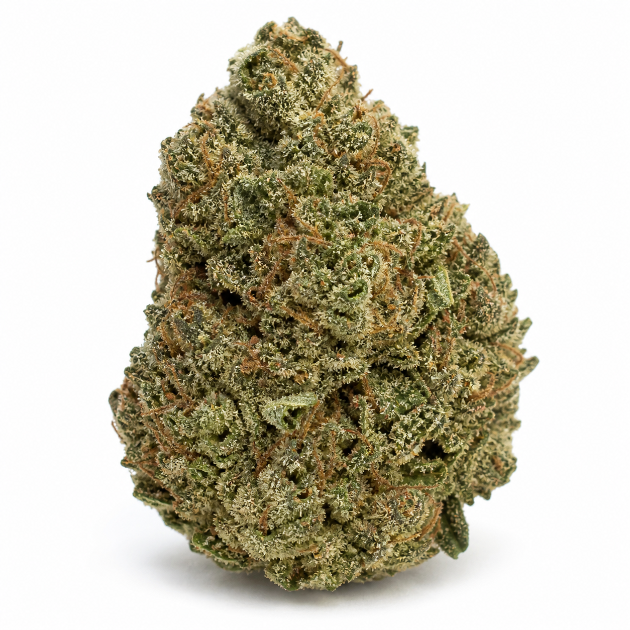Cogollo de Gorilla Auto de Spain Seeds en primer plano, con tonos verdes, filamentos anaranjados y abundantes puntos blanquecinos.