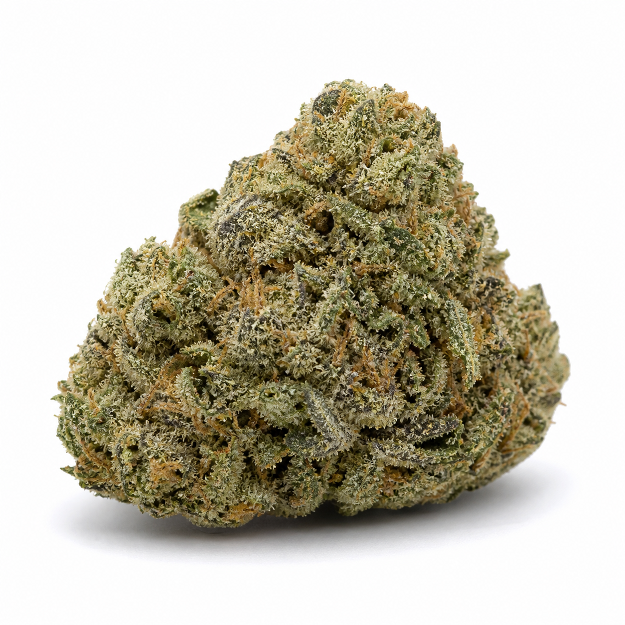 Cogollo de Gorilla Cookies FF de Fast Buds en primer plano, compacto, con tonos verdes, zonas oscuras y pistilos anaranjados sobre fondo blanco.