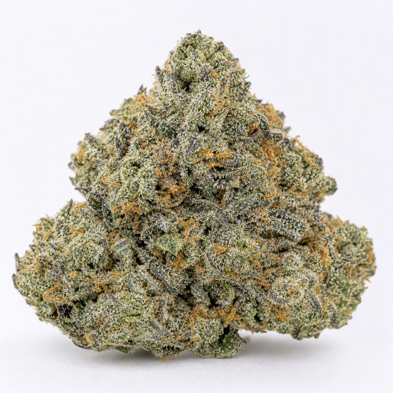 Cogollo de Gorilla Glue Auto de Fast Buds, ancho en la base, con tonos verdes y oscuros, filamentos naranjas y cobertura blanquecina.