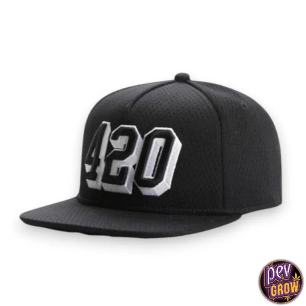 Gorra negra de visera plana con el número 420 bordado en negro y blanco, vista en tres cuartos sobre fondo blanco.