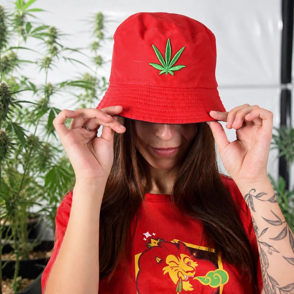 Escena generada de una persona sujetando el ala de un gorro rojo con una hoja de marihuana verde bordada, entre plantas de cannabis.