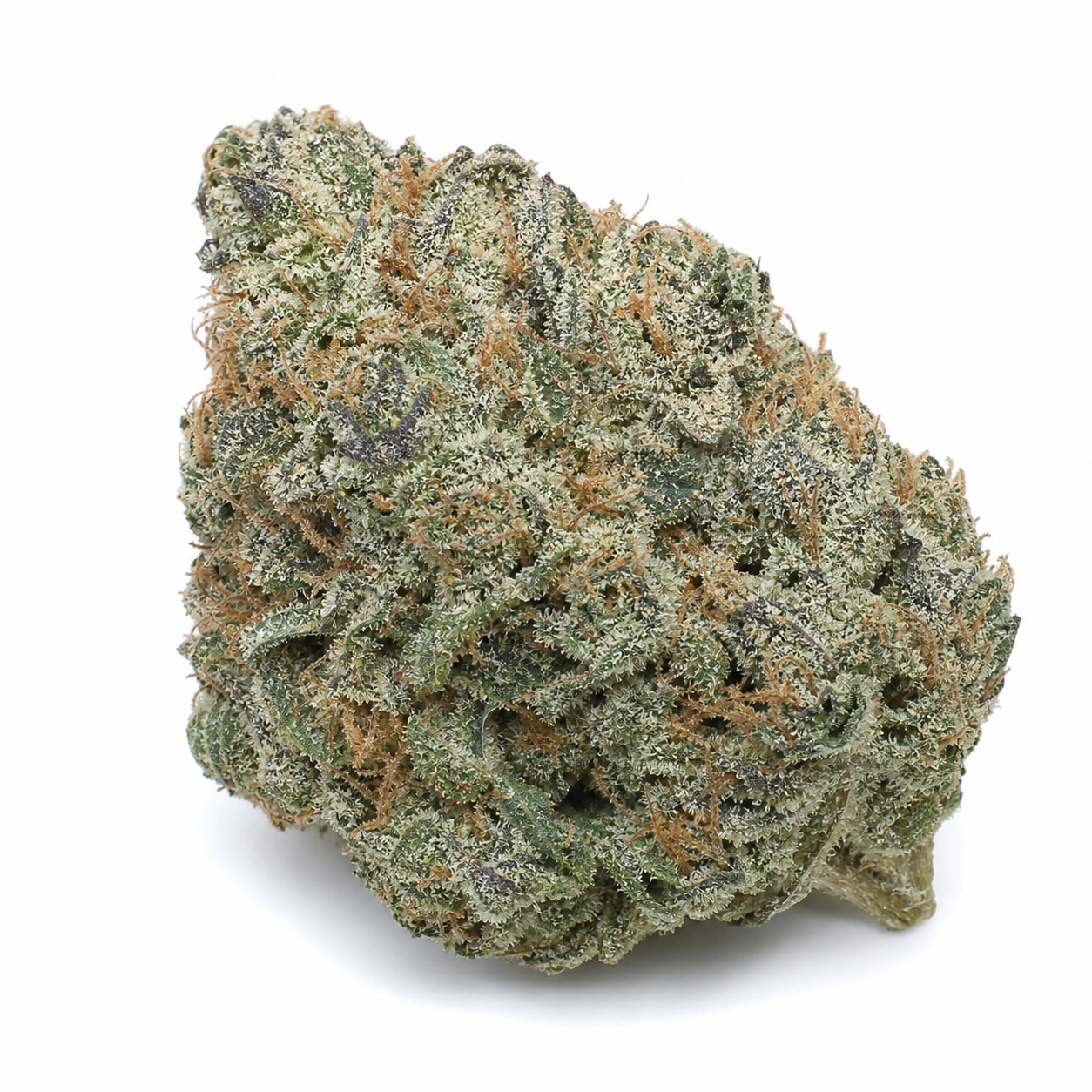 Cogollo de Grape Pop Rocks Auto de Anesia Seeds, con tonos verdes y morados, filamentos anaranjados y abundante cobertura blanquecina.