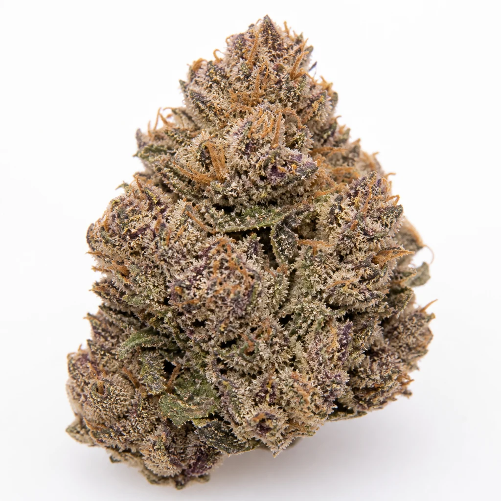 Ilustración de un cogollo verde y morado con filamentos anaranjados y superficie blanquecina para la ficha de Grape Soda Auto.