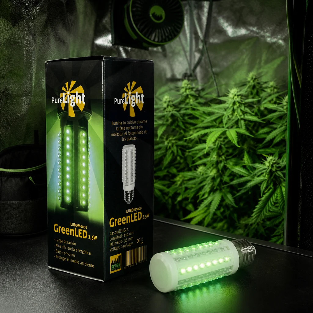 Bombilla LED verde Pure Light de 3,5 W encendida junto a su caja, con plantas y un ventilador al fondo de un armario de cultivo. Bombilla LED verde Pure Light de 3,5 W encendida junto a su caja, con plantas y un ventilador al fondo de un armario de cultivo.