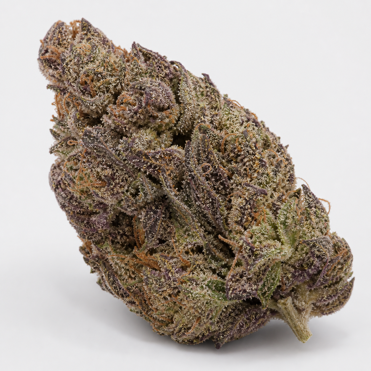 Primer plano de un cogollo de Guanabana de Blimburn Seeds, con tonos verdes y morados, pistilos anaranjados y abundantes tricomas.