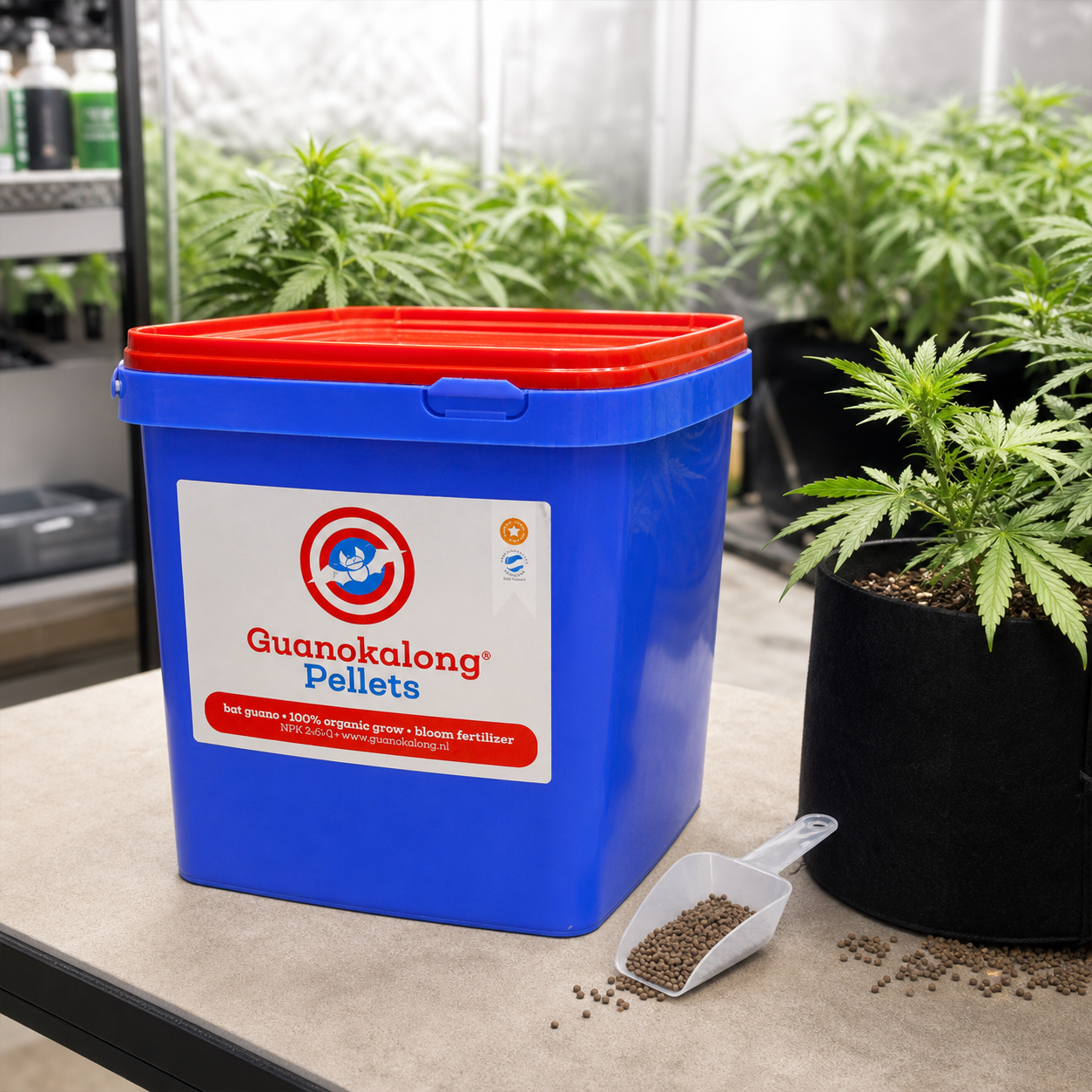 Cubo azul de Guanokalong Pellets con tapa roja, junto a una pala con gránulos y una planta en maceta en un espacio de cultivo.