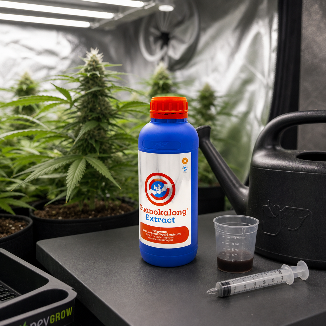 Botella azul de extracto Guanokalong junto a un vaso dosificador, una jeringa y una regadera, con plantas de cannabis al fondo. Botella azul de extracto Guanokalong junto a un vaso dosificador, una jeringa y una regadera, con plantas de cannabis al fondo.