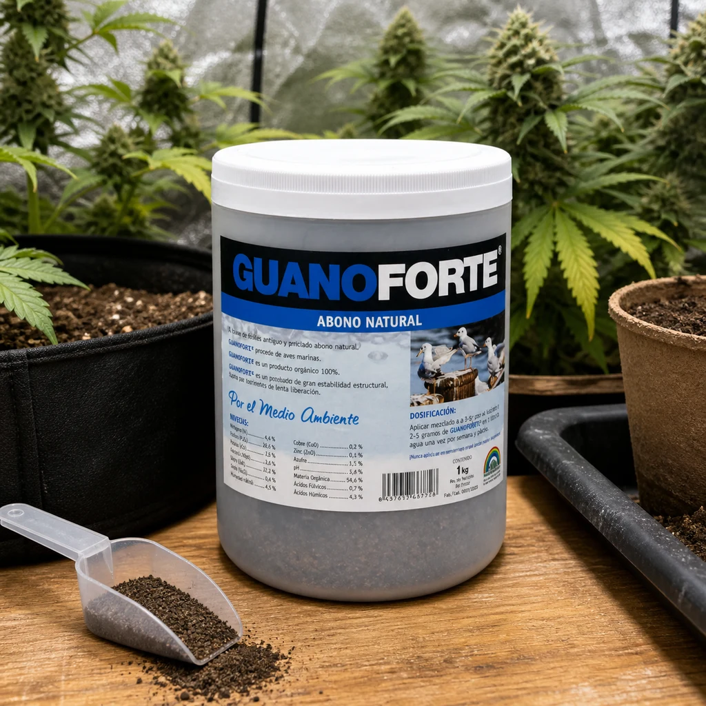 Bote de GuanoForte con tapa blanca junto a una pala con gránulos, sobre una mesa y con plantas de cannabis al fondo.