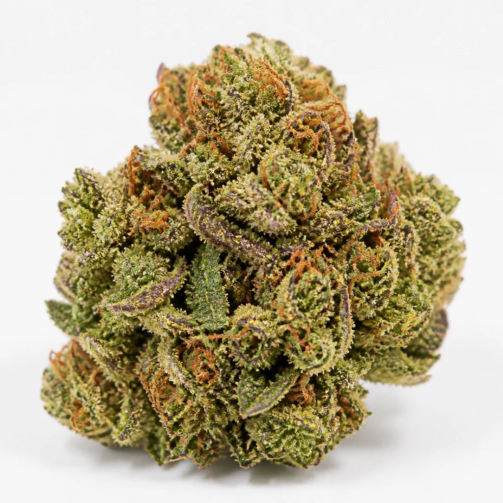 Ilustración de un cogollo verde con matices morados y pistilos anaranjados para la ficha de Guava Auto™ de Fast Buds.