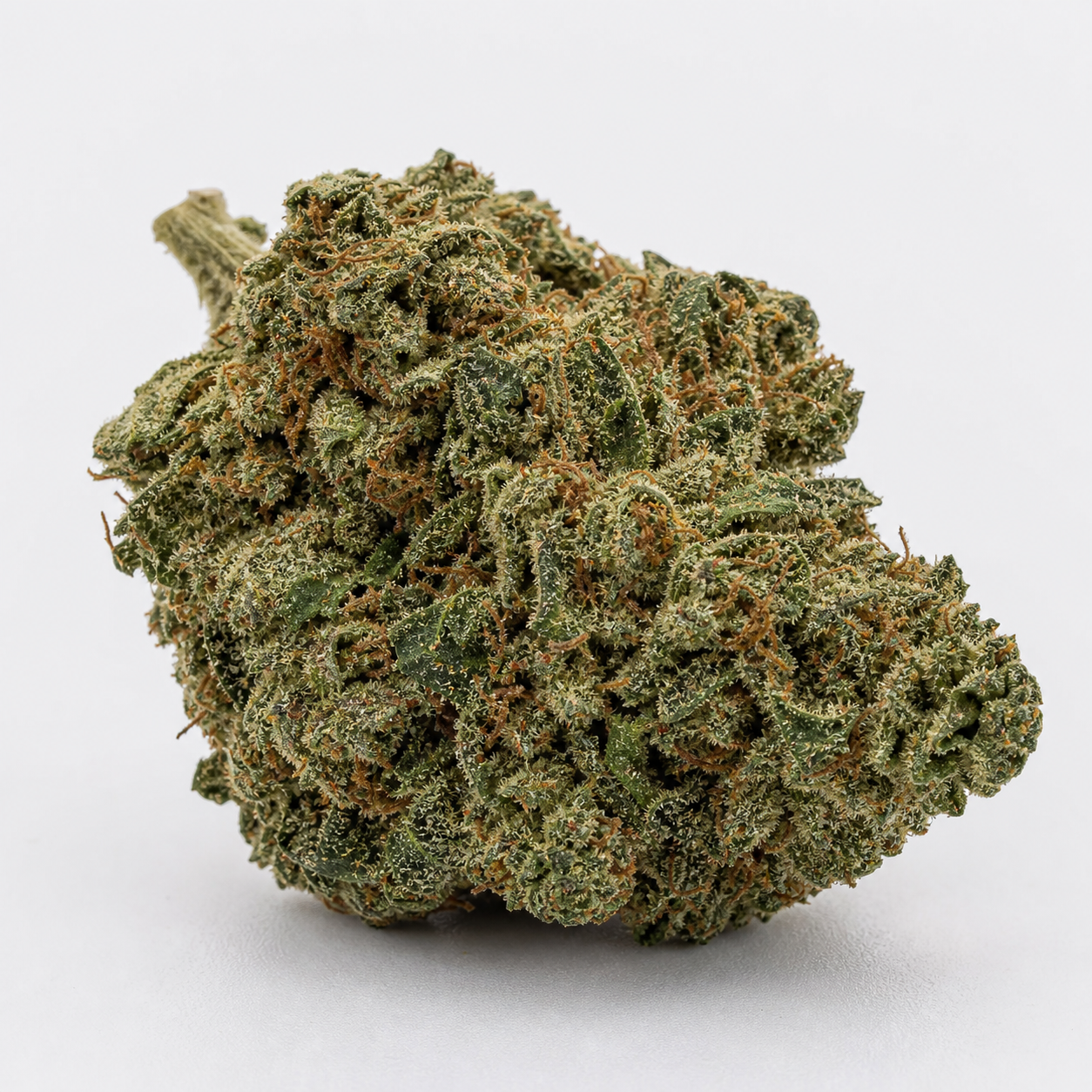 Primer plano de un cogollo de Hash Burger de Spain Seeds, de contorno redondeado, con hojas verdes y filamentos anaranjados.