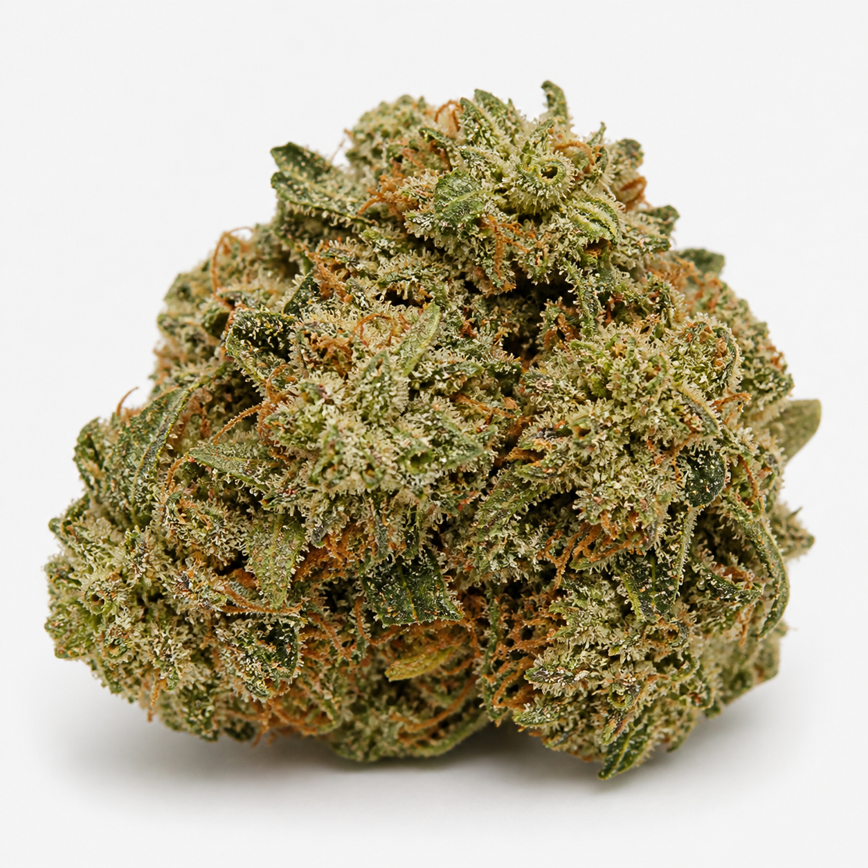 Cogollo de Hawaii Maui Waui Feminizada sobre fondo blanco, con forma ancha, hojas verdes, pistilos anaranjados y tricomas claros.