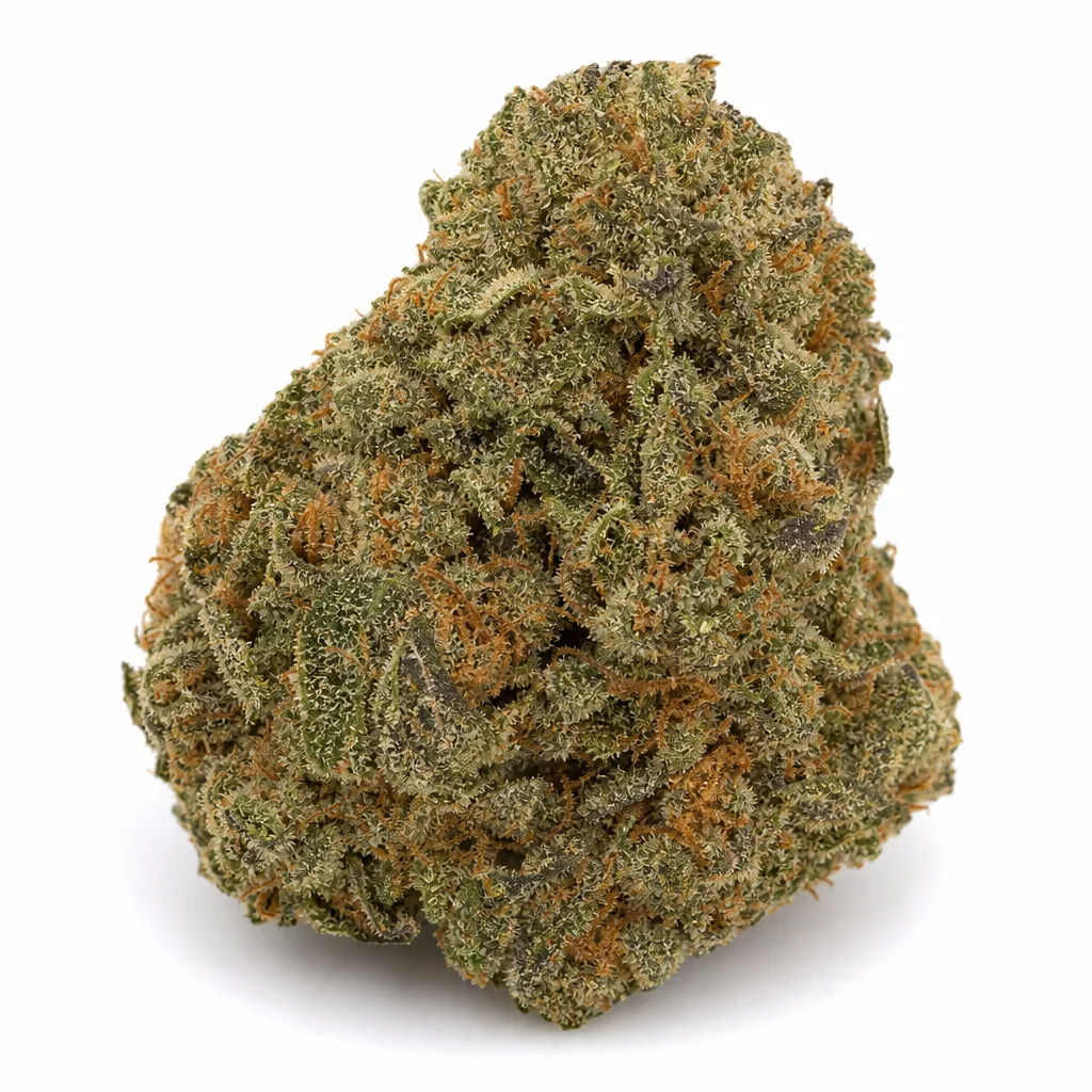 Cogollo de Haze XXL de PEV Seeds en primer plano, de forma compacta y redondeada, con tonos verdes y filamentos anaranjados.