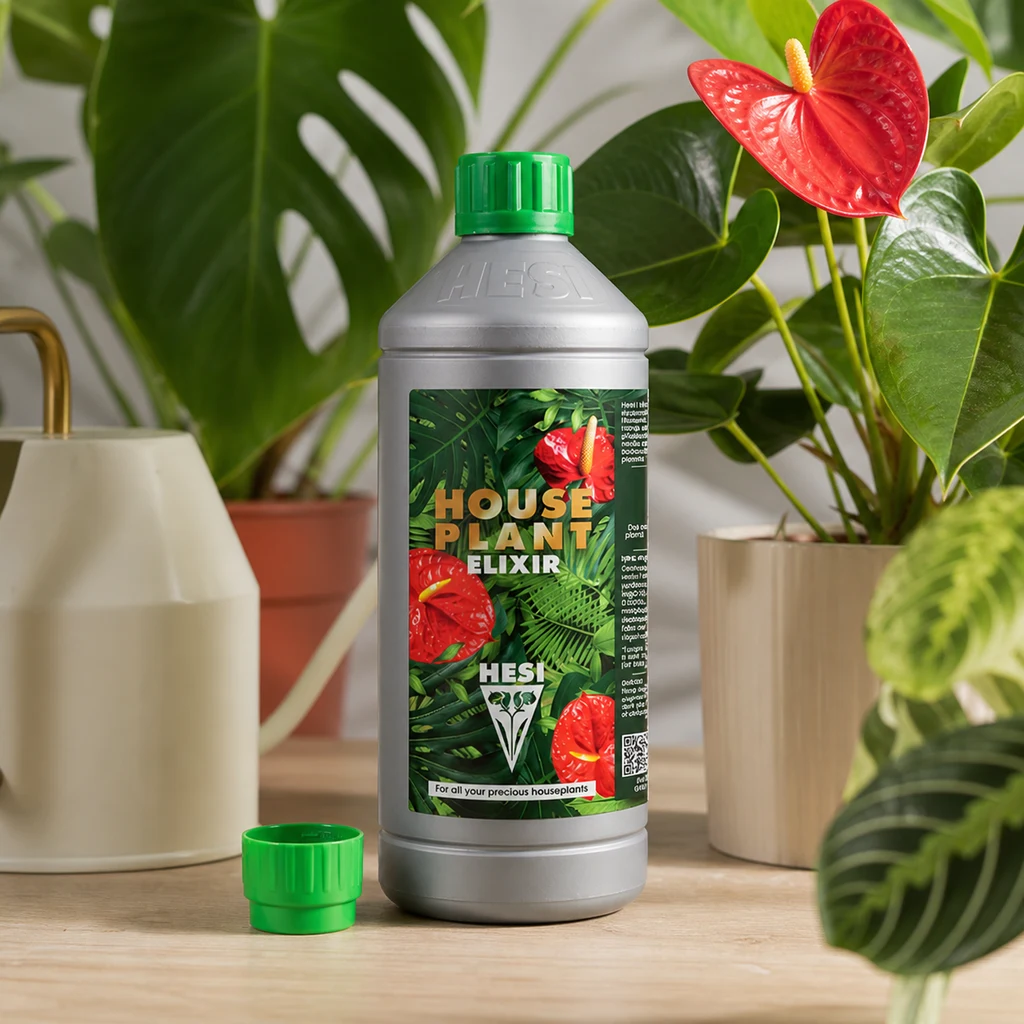 Botella gris Hesi Houseplant Elixir con tapón verde, junto a una regadera y plantas de interior; un tapón suelto descansa sobre la mesa.
